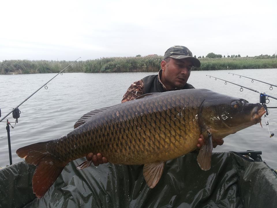 PILHAN - 13768785781006322377421470163425n.jpg